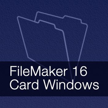 filemaker go windows